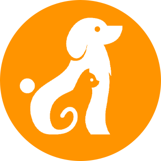 Icon 1